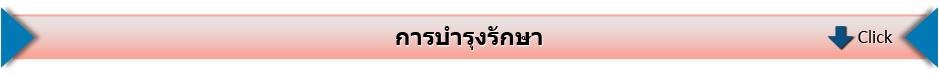 การบำรุงรักษา